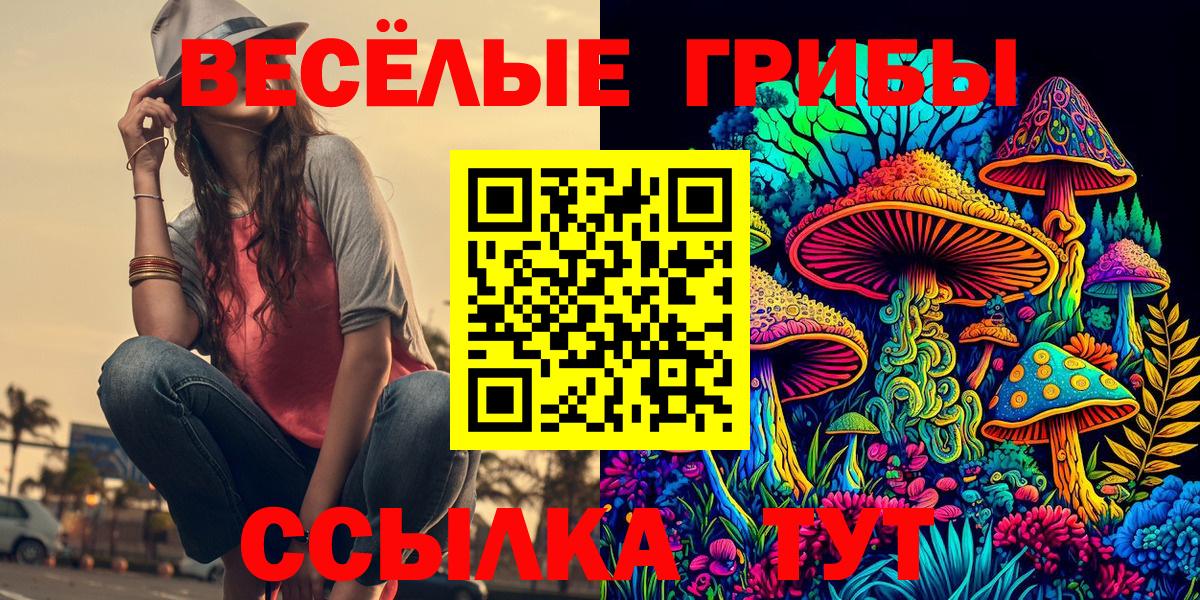 Псилоцибиновые грибы Psilocybine cubensis  Псилоцибиновые грибы MAGIC MUSHROOMS  Вход с VPN  Королёв 